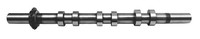 Nockenwelle AE CAM986 FüR Rover Jaguar Peugeot L319 Discovery CitroËN C5 SW 407