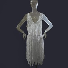 1920s Sheer Whimsical Dress