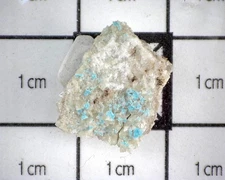 20705 MM Cavansite (Co-Type Locality) Lake Owyhee State Park Malheur County Oreg