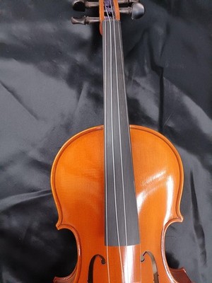 Andreas Eastman Vl80 4/4 Violin | eBay