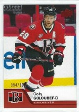 2020-21 Upper Deck AHL #107 Cody Goloubef Exclusives 094/100