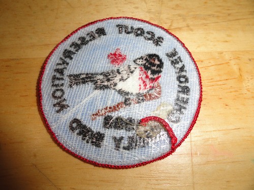 CHEROKEE SCOUT RESERVATION 1988 EARLY BIRD SUMMER CAMP PATCH B1 - Foto 2 di 2
