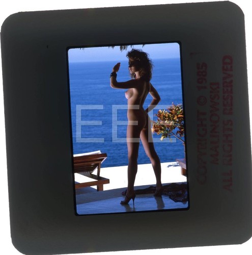 1985 Sherry Arnet Playboy Model Original Stan Malinowski 35mm Transparency 294P