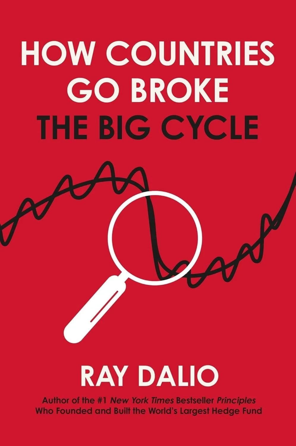 How Countries Go Broke: The Big Cycle by Ray Dalio - Non Fiction - Hardback - Image 13