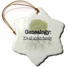 3dRose Genealogy  It  s All About Family  Snowflake Ornament   Porcelain, 3-Inch