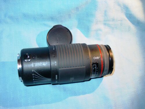 Sigma AF 75-300 mm APO do Canon   - Zdjęcie 1 z 12