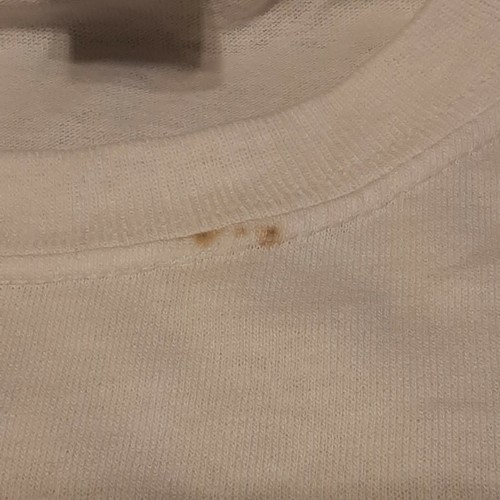 CAMICIA BIANCA PAW STATE WEIMARANER TAGLIA SMALL (NON PERFETTA) (STAMPA FRONTALE) - Foto 2 di 7