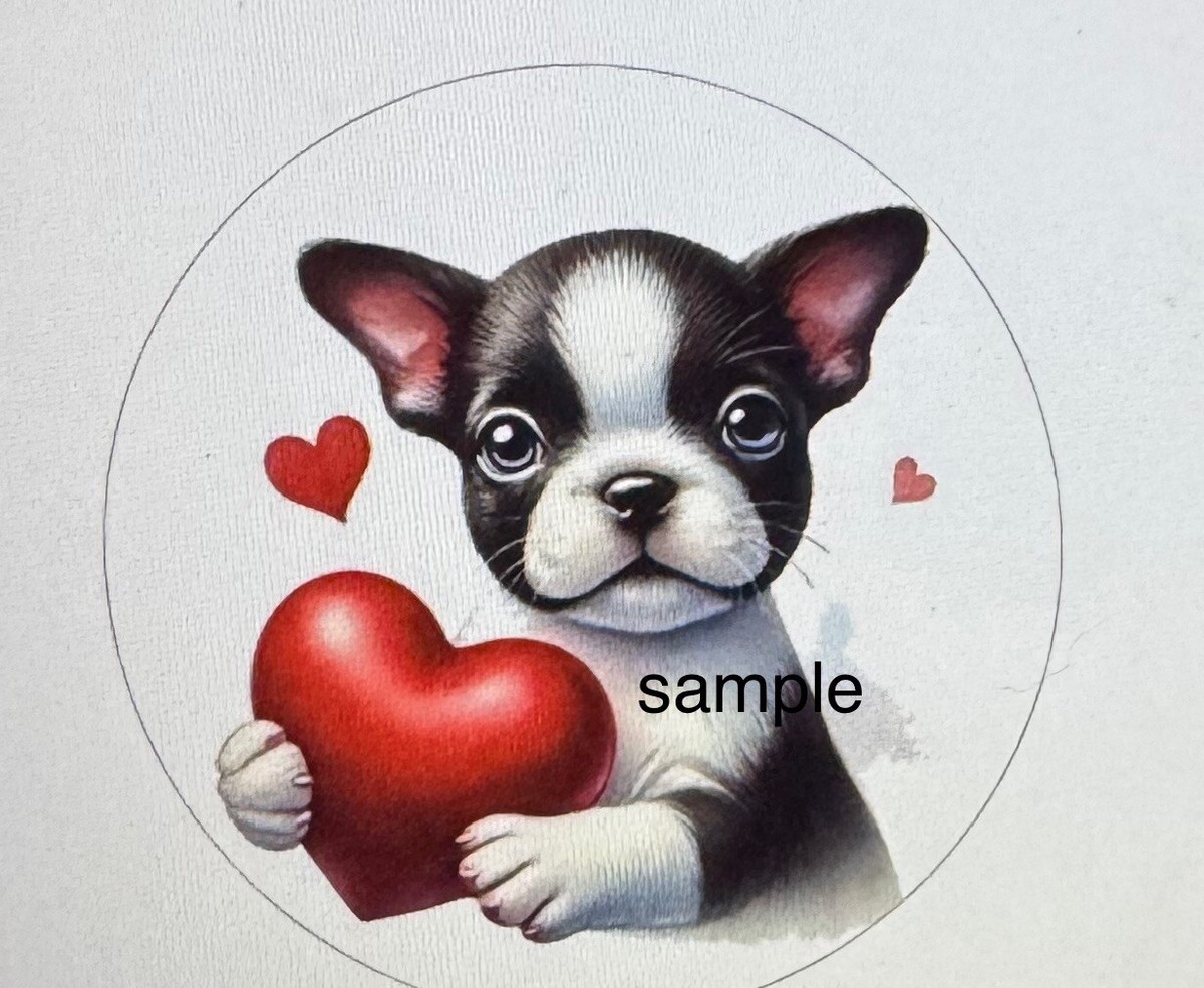 Valentines Day Boston Terrier Love Heart T-Shirt Valentines Day Boston Terrier Love Heart T-Shirt