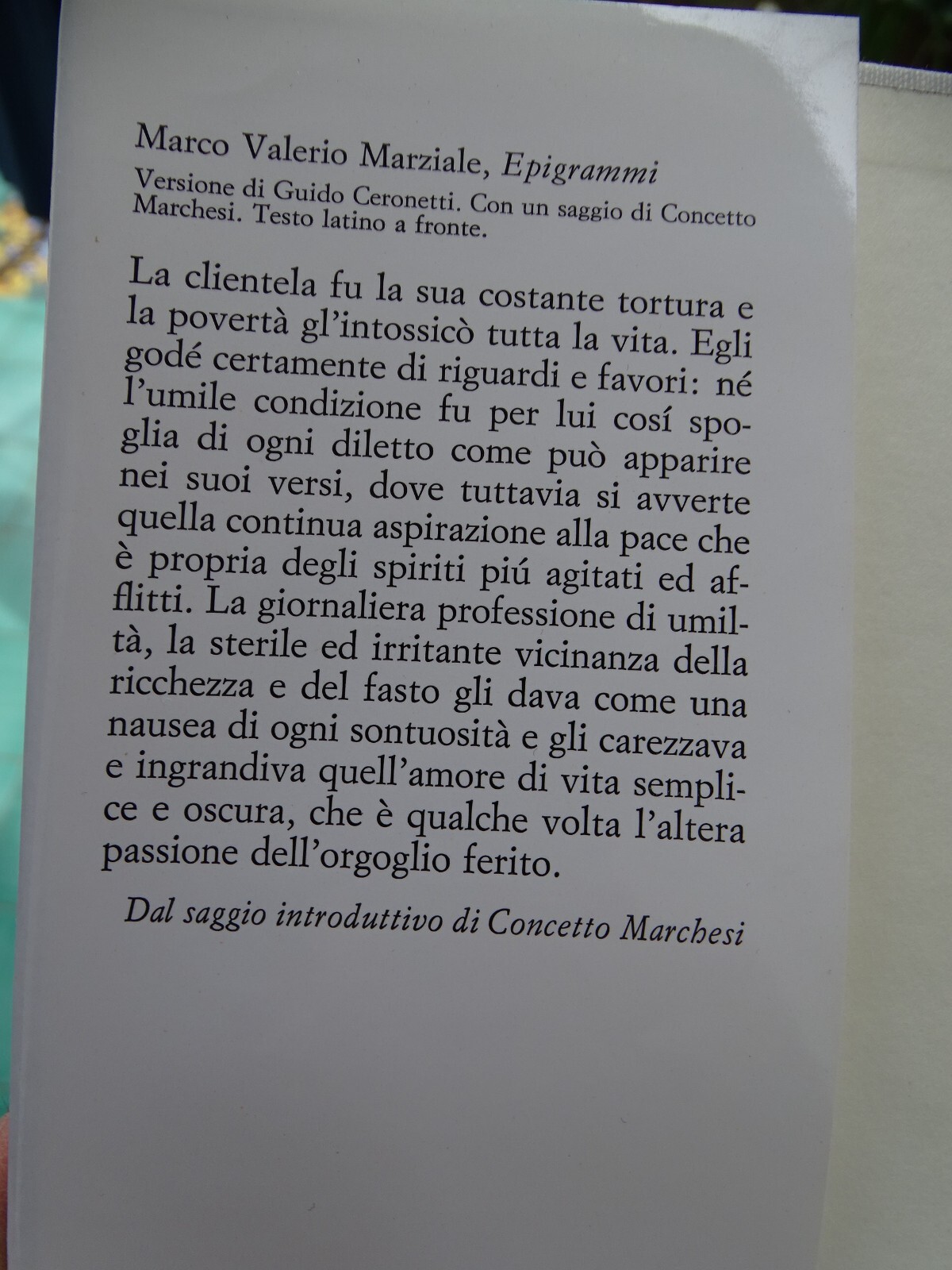 Foto 3 di 4