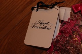 BNWT Agent Provocateur Zuri Full Brief Size Extra Small MSRP $95!!