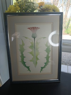 Jenny Lawrence Middlesex Print Of A Thistly Flower March 1989 Signed And Framed 