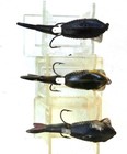 Foto 2 di 4