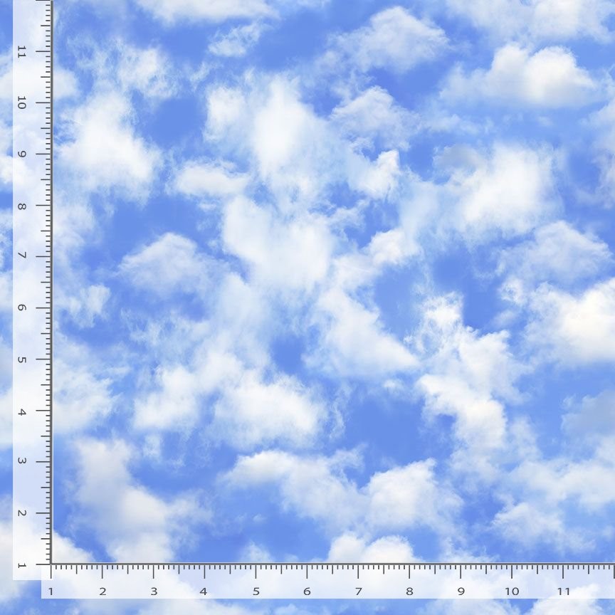 Sports Fabric | Soccer Practice Blue Sky Cloud | Timeless Treasures YARD