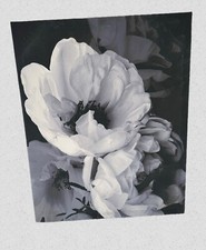 Floral Wall Art  Black  White  Painting  Wall Decor  Canvas  Flower