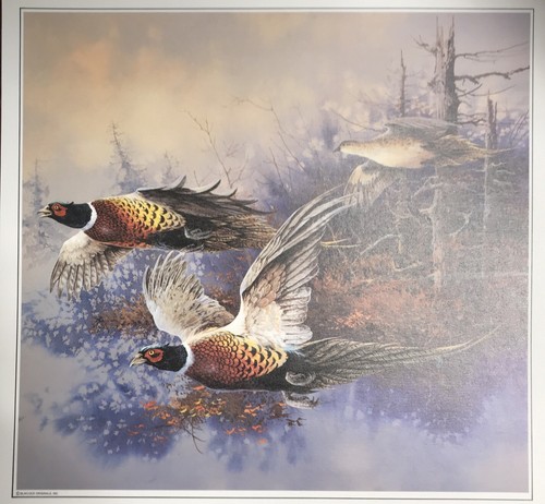Ted Blaylock Vintage 1990 Calendar Nature Androc Hopkins Minnesota Wildlife - Picture 9 of 9