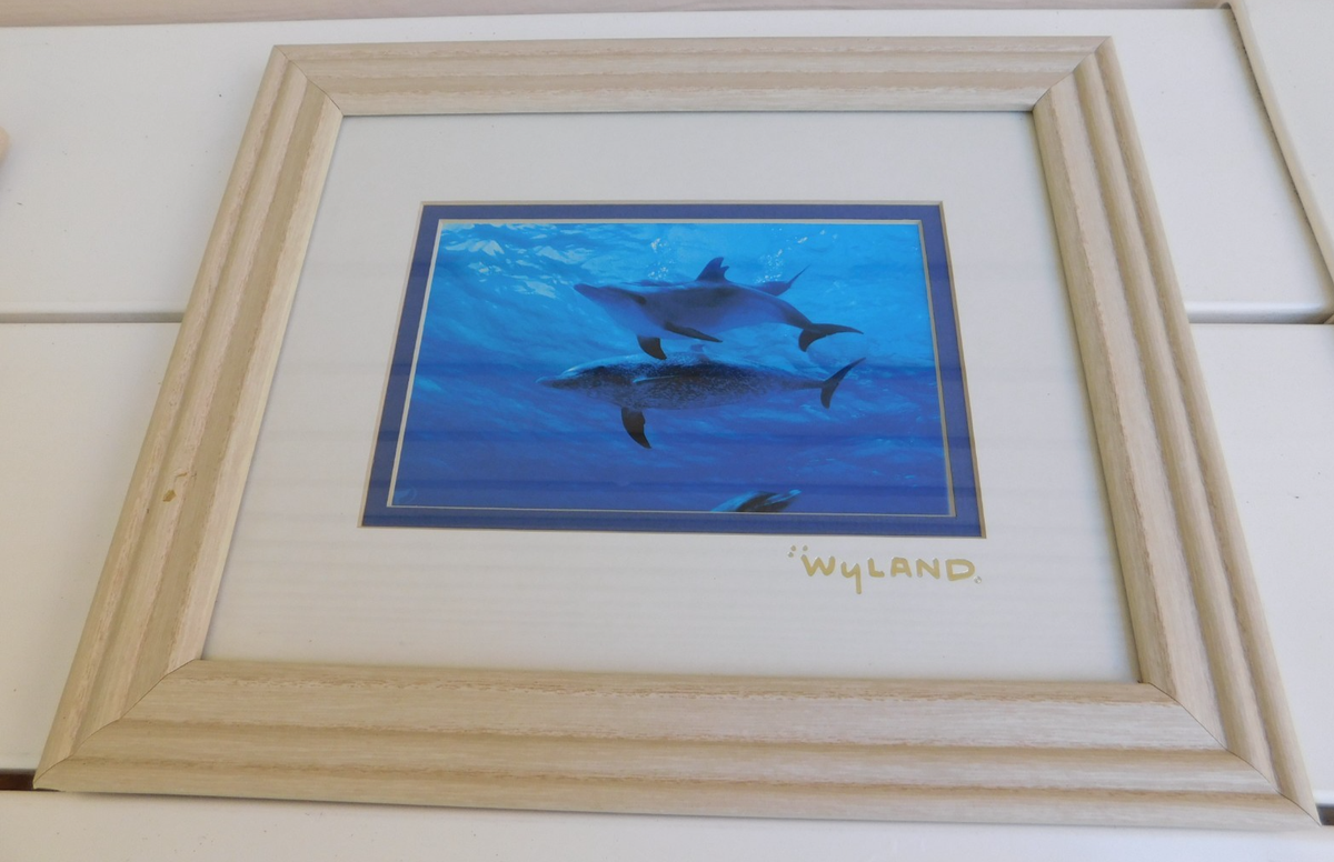 Wyland Dolphins w Silver Foil Stamp Whitewashed Frame 10