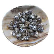 Snakeskin agate - spiritual healing crystal mineral stone authentic, Rome Oregon