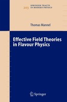 Thomas Mannel | Effective Field Theories in Flavour Physics | Taschenbuch (2010)