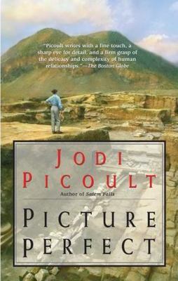 Picture Perfect - paperback, 9780425185506, Jodi Picoult