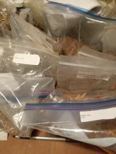 75+ Tree Seeds. Mystery Bag!!