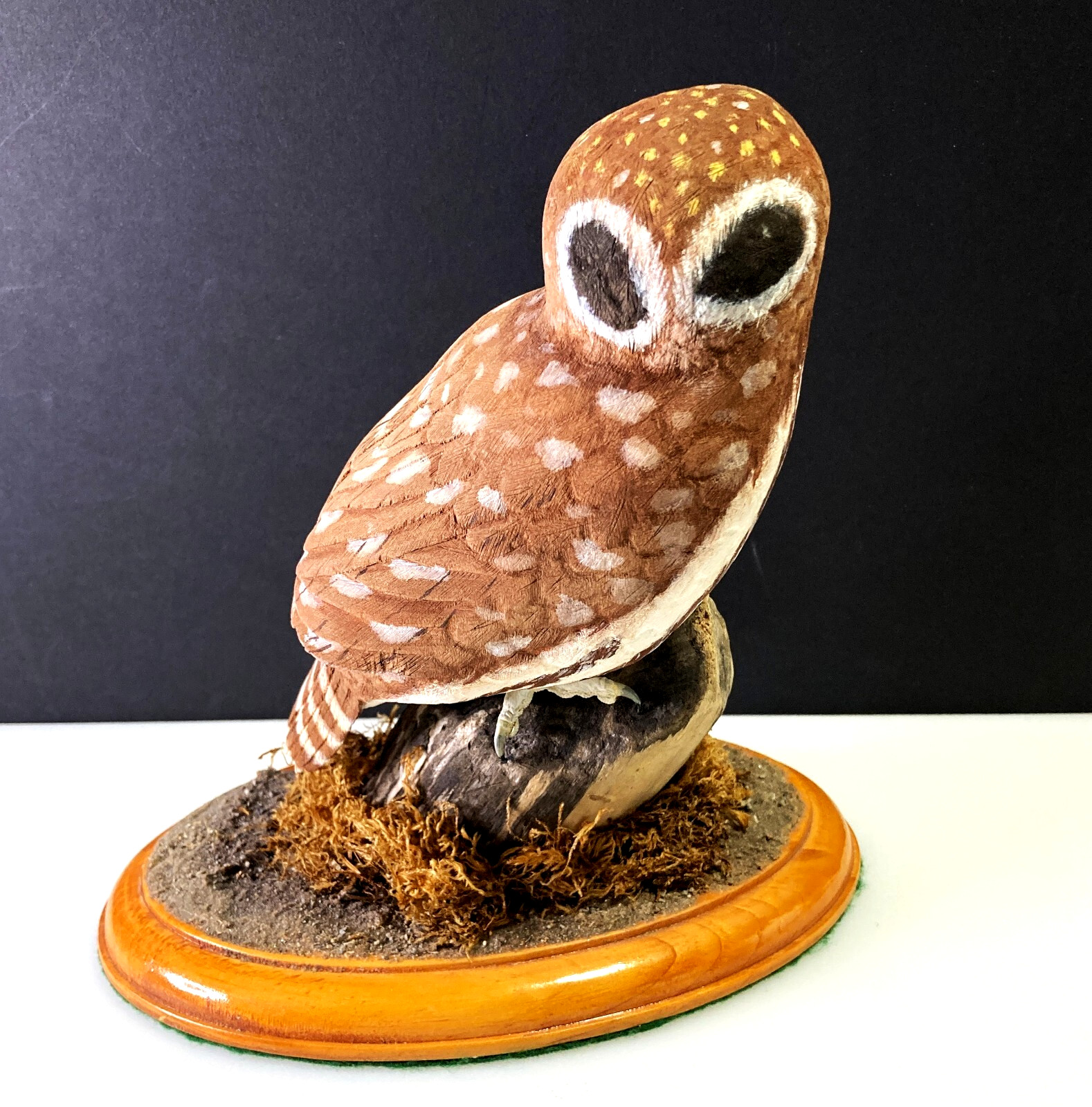 BLIND AWARD-WINNING MASTER CARVER Terry Matzke 7.5" Ferruginous Pygmy Owl
