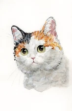 Handmade Watercolor Painting Portrait Calico Cat 8x12 inches