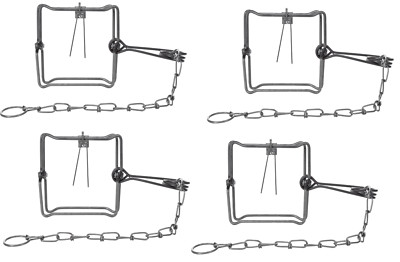 4 Bridger 5X5 (#150) Bodygripper Body Grip Animal Trap 4 Traps