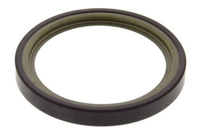 Sensorring ABS Hinterachse für RENAULT CLIO III Kasten/Schrägheck Grandtour