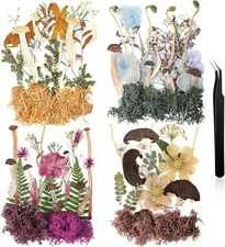 Nuanchu Dried Pressed Flowers Bulk Mushrooms for Crafts Original Color 