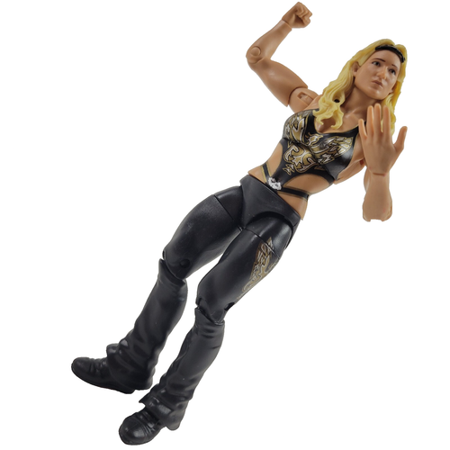 2010 WWF WWE Mattel Beth Phoenix Basic Wrestling Figure Diva Woman Royal Rumble - Picture 6 of 8