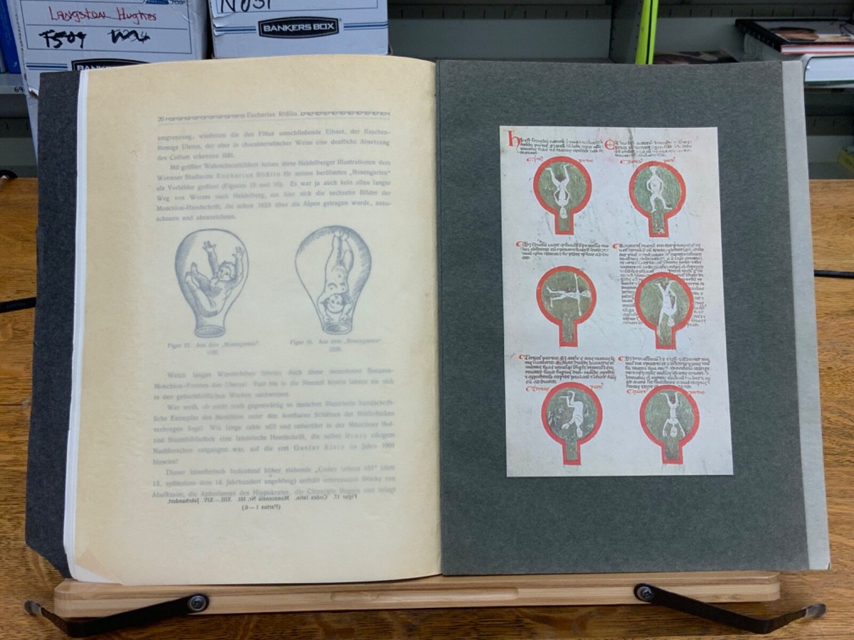 D i e Bucher der kunstler 希少本 1908 Geschichte der Gynäkologisch-Anatomischen - Dr. Fritz