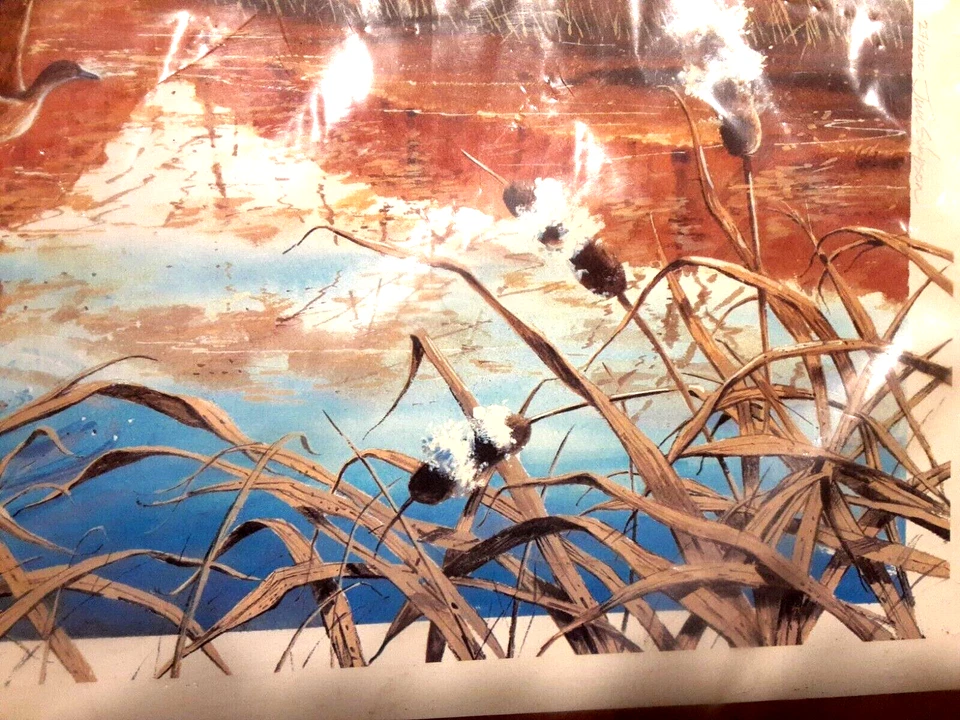 Jim Simpson Lithographic Unframed "Ducks", Signed, Numbered 27/200, Certificate - Image 4 of 4