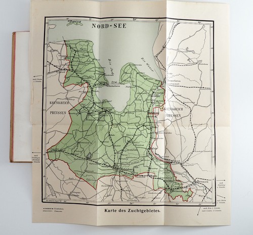 1902 Germany OLDENBURG ELEGANT HEAVY CARRIAGE HORSE Atlas book Illustrated - Picture 14 of 14