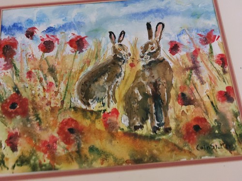 Original Wildtiergemälde ""Sommerhase,s"" signiert Colin Statter - Bild 7 von 9