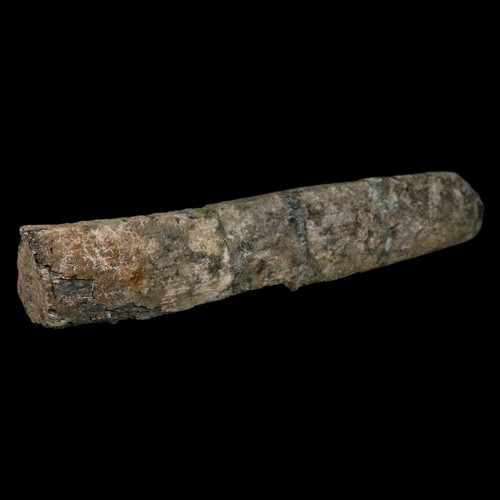 11.4" Camarasaurus Dinosaur Fossil Rib Bone Morrison FM CO Jurassic Age COA - Picture 4 of 11