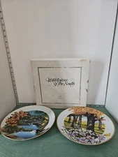 Vintage-Royal Windsor Wildflowers of the South Set of Two Collector Plates