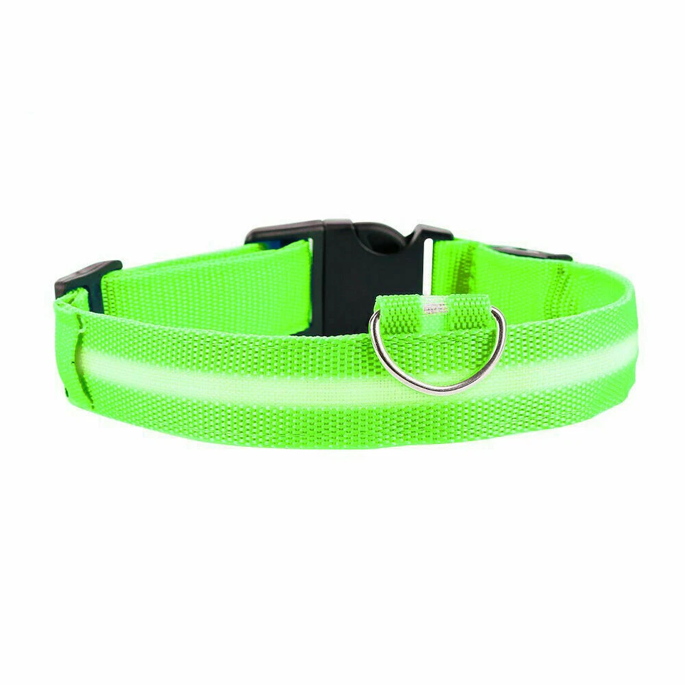Collare per Cani regolabile con luce led, usb ricaricabile, verde fluo - Immagine 2 di 4