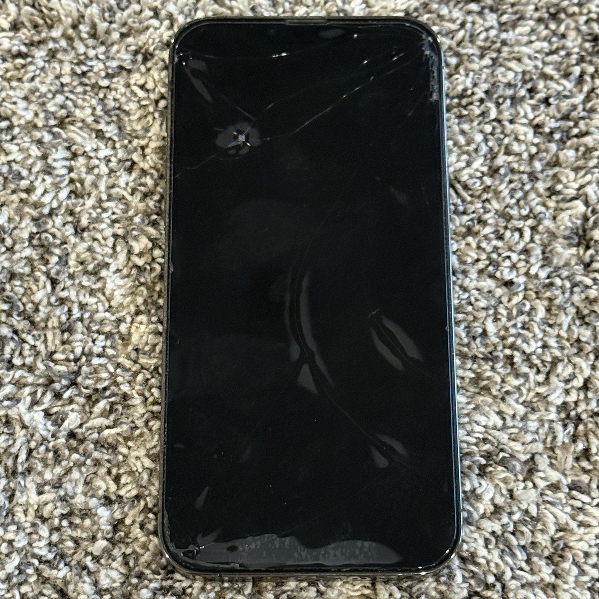 iPhone13pro max 256GB グラファイト Amazon.com: Apple iPhone 13 Pro Max, 256GB, Graphite