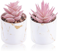 Set of 2 Succulents Plants Artificial Mini Fake Succulents Plants for Office Des