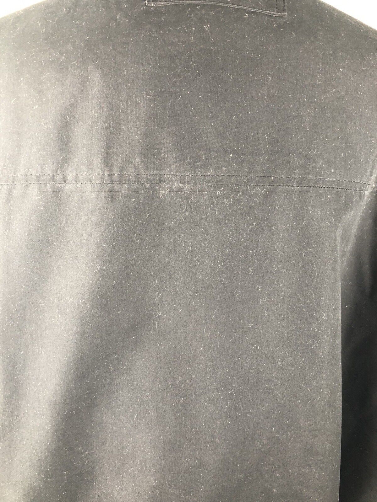 Picture 6 of 10
