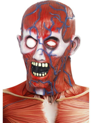 Anatomy Man Costume Adult Anatomy Man Costume Adult