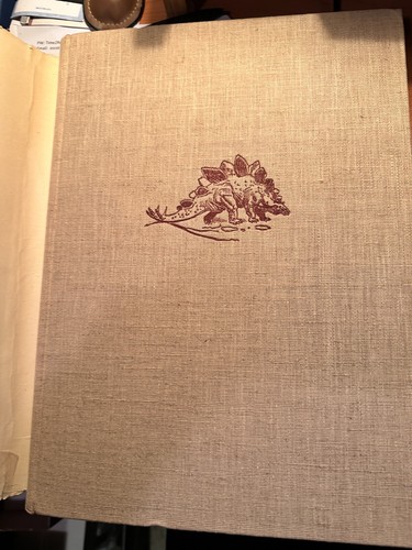 Animales de los tiempos primitivos "Animals of Prehistoric Times", edición 1956, Dust Jacket, difícil de encontrar - Imagen 12 de 24