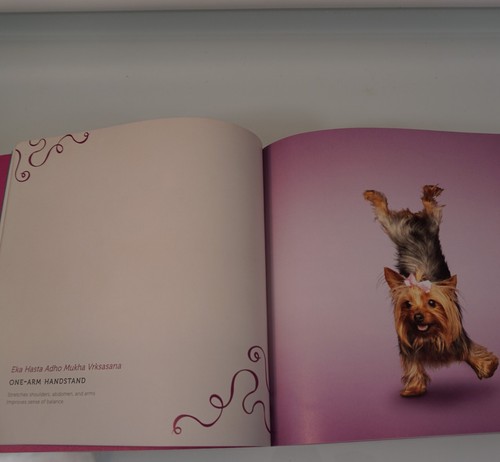 Yoga Dogs By Dan Borris 2011 Paper Back Dog Photography - Picture 6 of 12