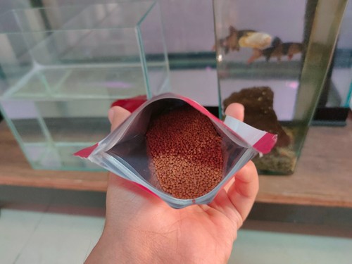 Fish food Boost Micro 60 g. Food for Small Fish, Loved by All! - Picture 6 of 11
