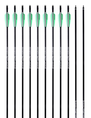 Archery 30inch 8mm Fiberglass Hunting Practice Arrows with Replaceable Arrowh...