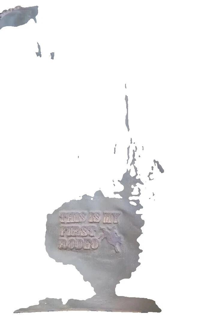 Fleece Cowboy Nursery Bedding