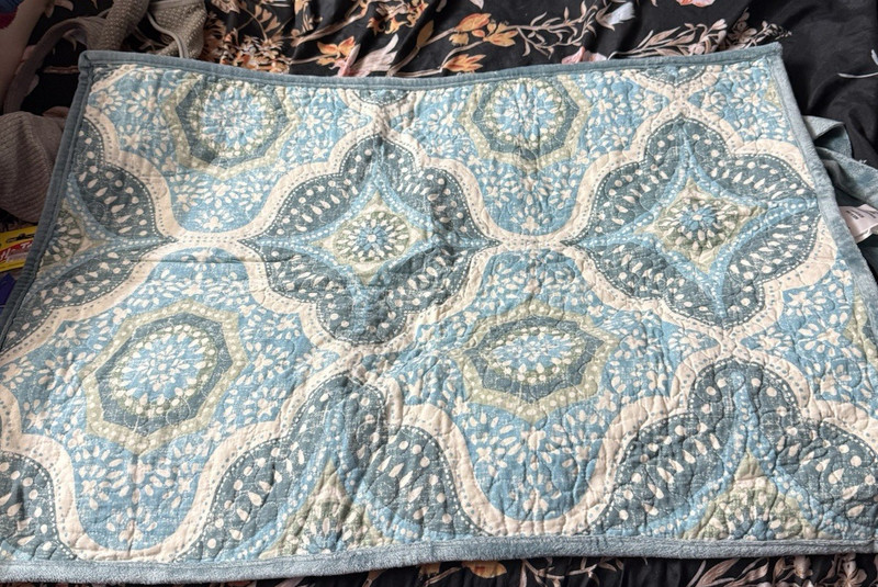 Better Homes & Gardens Big Velvet Medallion Quilted Cotton Coverlet Blue White