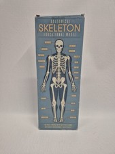 Anatomical Skeleton Education Model 16 Piece With Display Stand BNIB
