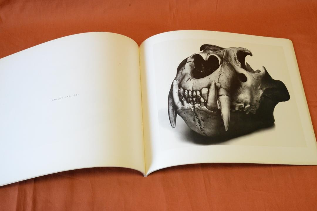 【Cranium Architecture】Irving Penn1989年初版 Cranium Architecture | Pinault Collection