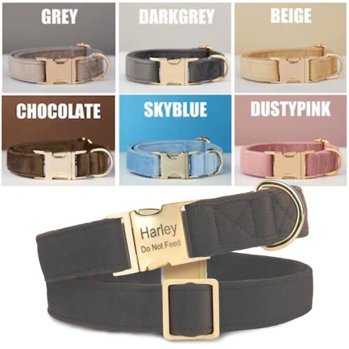 Personalized Velvet Dog Collar Corduroy Puppy Collar with Custom Name Engraving - Picture 5 of 8